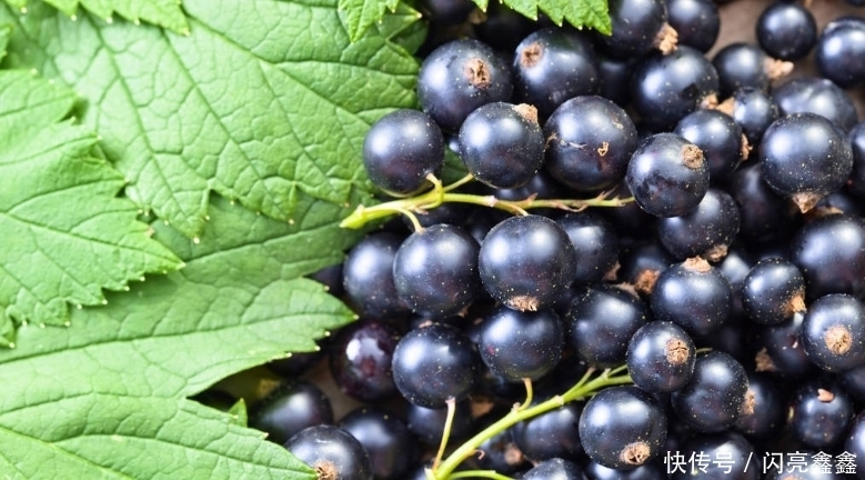 变平|立秋后,晚上当零食吃一把,大肚子变平了,保肝护肝,气色更红润