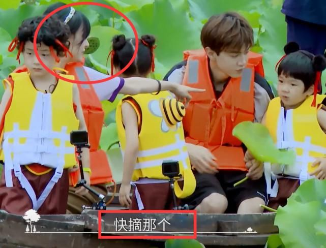  综艺节目|郑爽带萌娃摘莲藕，没想到急出东北话，才知她多接地气