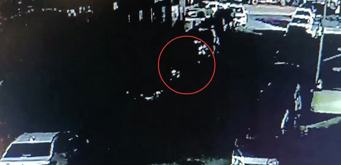  公安分局|在塘厦作案后，竟跑到惠州存钱