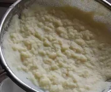 枝头|盆里扔2样东西,养花10年不烂根,叶子油光瓦亮,花苞挂满枝头!