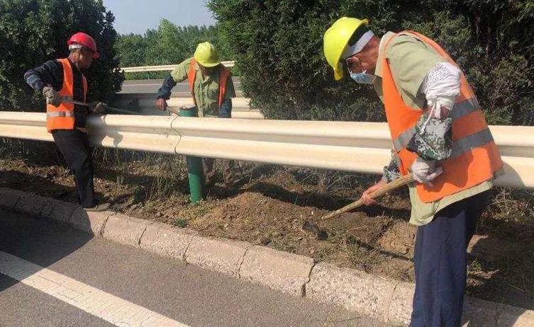 精心|唐曹高速公路：精心养护保畅通扮靓曹妃甸“名片”