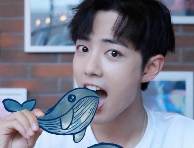  肖战|肖战姓名点亮夜空, 粉丝捐赠后续来了, 一个正能量偶像