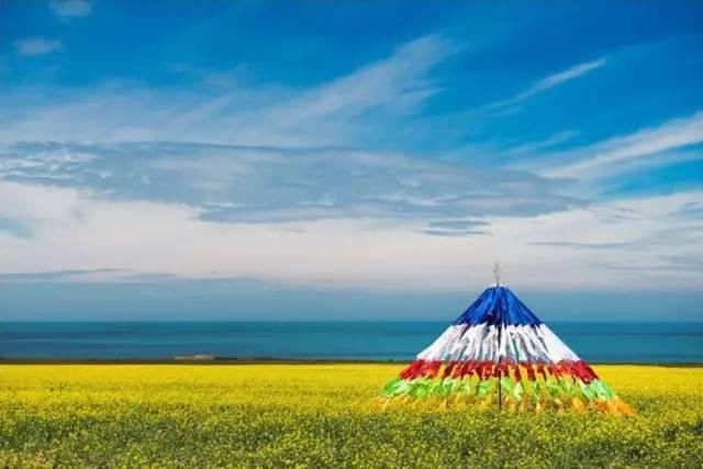  八道桥|为什么10月不能错过额济纳？详细攻略！不要错过这个秋天...