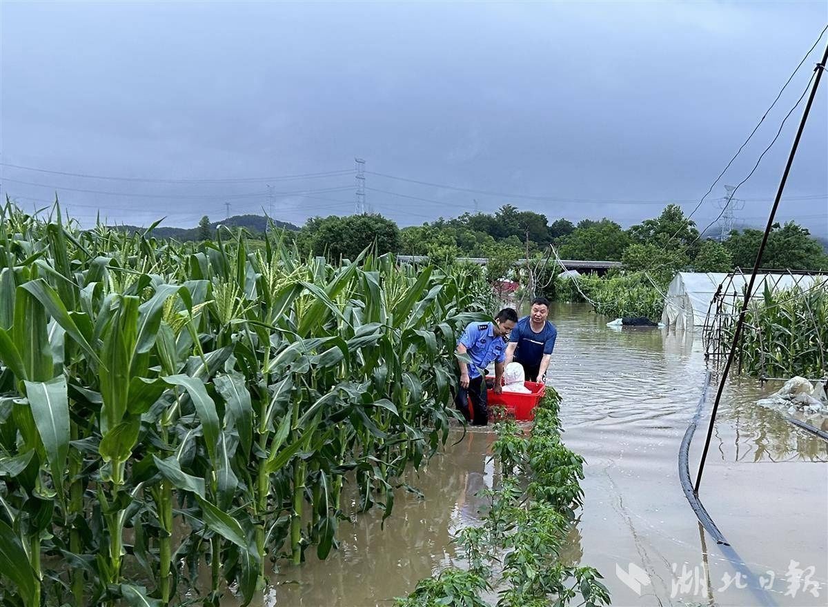 河水倒灌困住养殖户，民警辅警接力解救转危为安