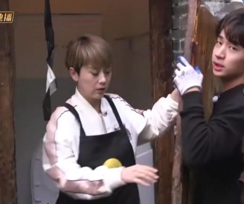  蘑菇屋|《向往4》为什么不展示卫生间，看到真实环境，真心待不下去