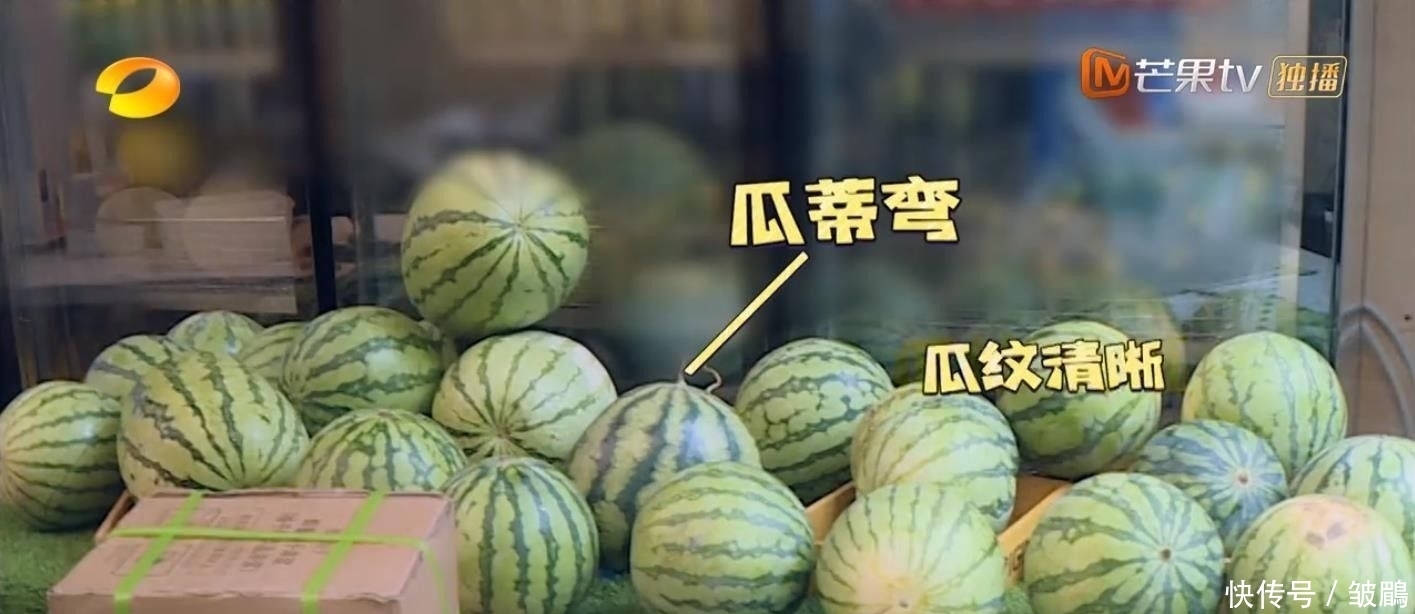  综艺|今年最好笑的综艺！胡军杨洋领着一群男人天南海北地玩捉迷藏