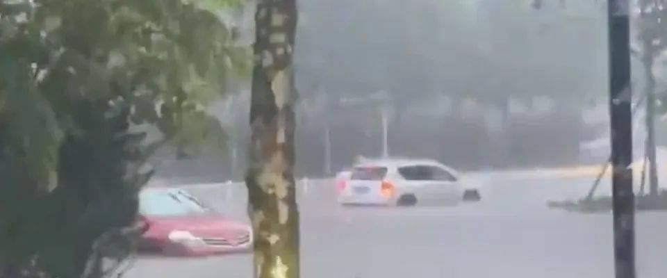 道路积水|山东多地暴雨！潍坊昨晚这里下的最大