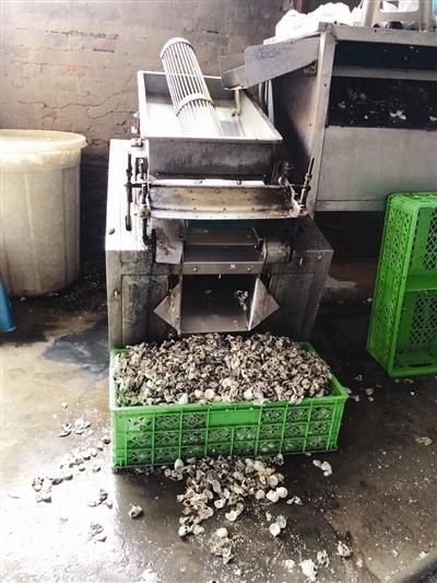  保护|废墟打掩护 大狗做保护 看着这么恶心吃着怎能放心