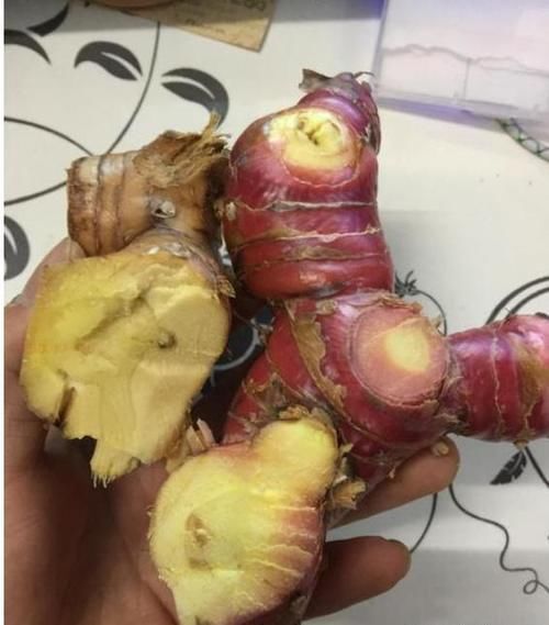  牛肉|捧红了潮汕牛肉火锅和卤鹅，这款佐料却无人知晓，而今依然陪跑