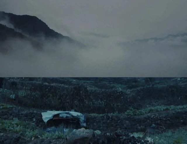  回归|《隐秘的角落》后，迷雾剧场终于回归，又一部爆款悬疑犯罪剧？