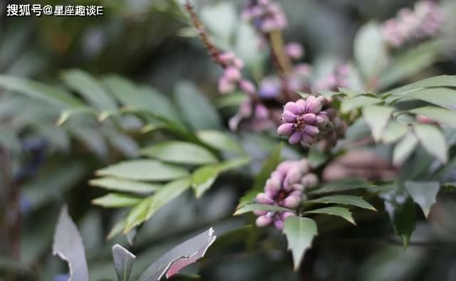  喜欢过|你真的了解天秤座吗？