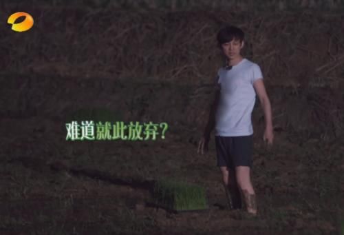  马赛克|《向往的生活》何炅被节目组“强行”打马赛克，就因为这3个字！