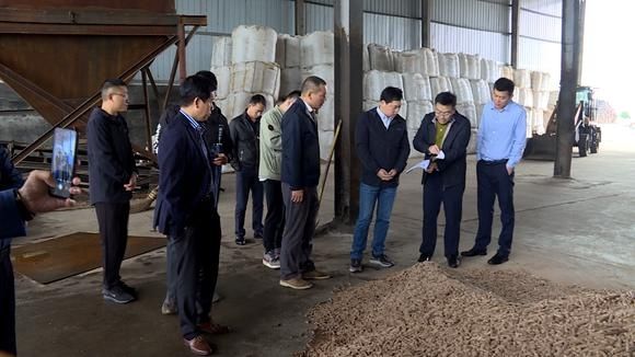 调度|杨智勇调度省生态环保督察反馈问题相关工作