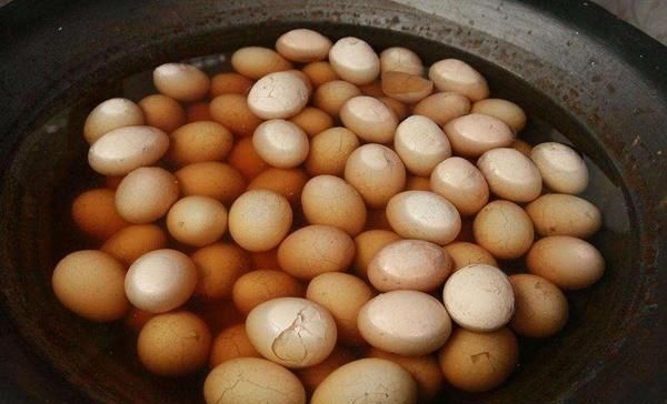 饿死|假如世界上仅剩下这5道食物,必须选一种的话你怎么选饿死算了