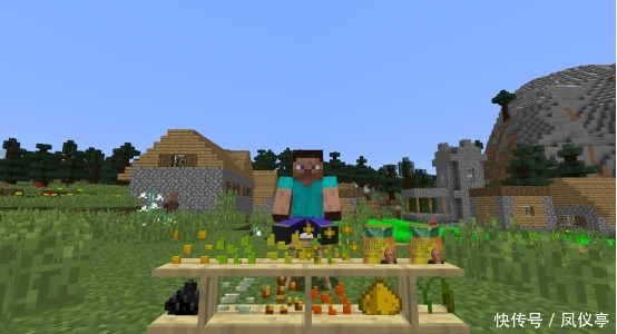 农业物品|在《我的世界》中摆地摊卖什么最赚钱?第一名稳妥月入百万