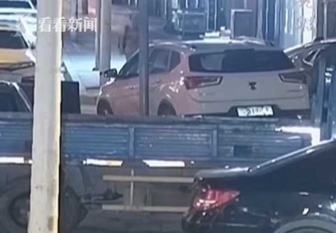  擒贼|小偷沿街拉车门盗窃 热心小伙仅用一招机智擒贼