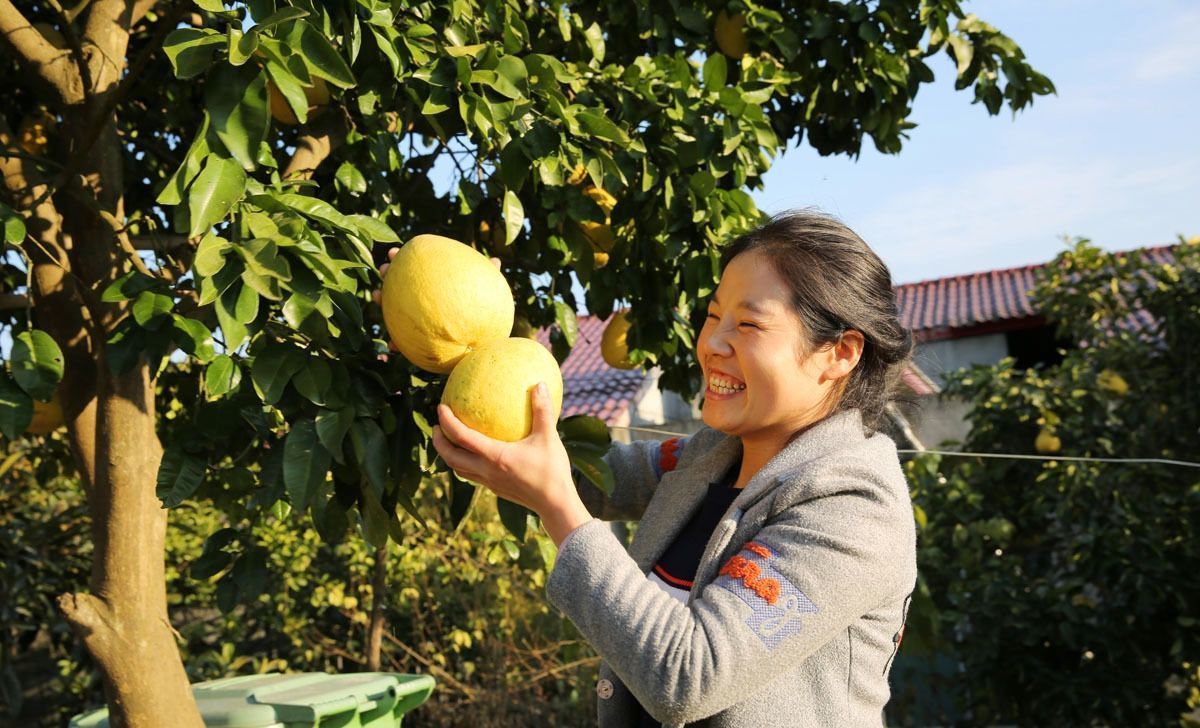 小镇|85后美女厨娘,选食材很挑剔,小镇上的人都爱吃她做的家常菜