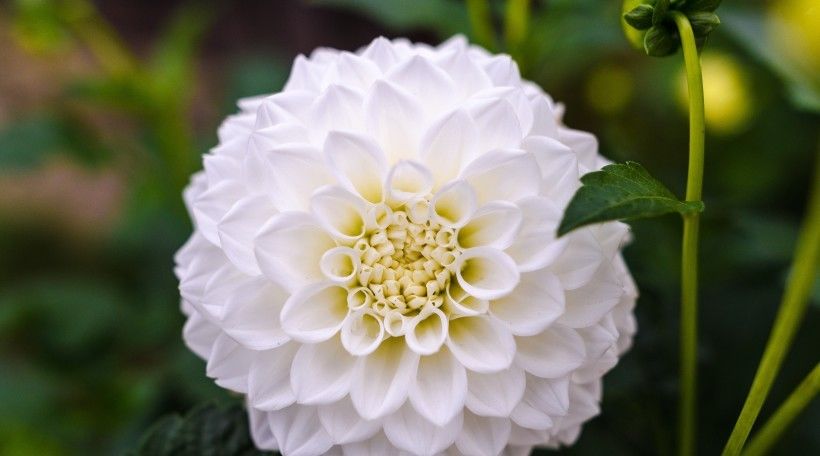  好运|7月中旬好运到！4大生肖驱霉运接财运，喜迎八方财富，生活乐无忧