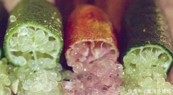 中国|吃货炫富大赛,日本拿出白草莓,迪拜拿出黑西瓜,中国默默拿出它