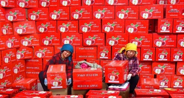 早熟|充满希望的八月，我们如何把好早熟苹果销售前的这几道关？