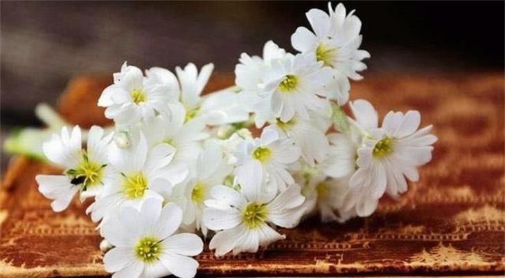 对方|和凤凰男相亲，双方都很满意，过了两天，对方却将俺拉黑