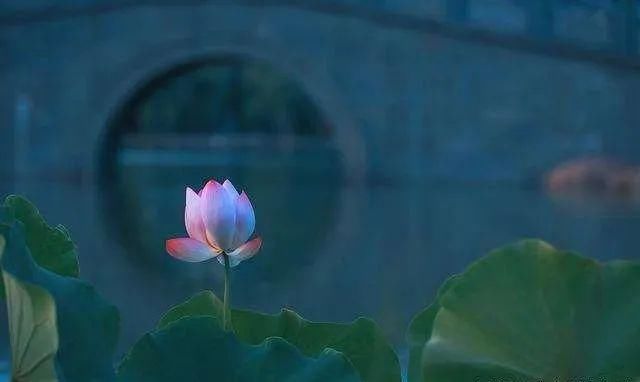 离婚率|离婚率为什么这么高？“家和万事兴”你知道有多重要