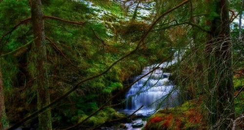  送给|适合发朋友圈的早安短句，经典有个性，送给深夜无眠的你