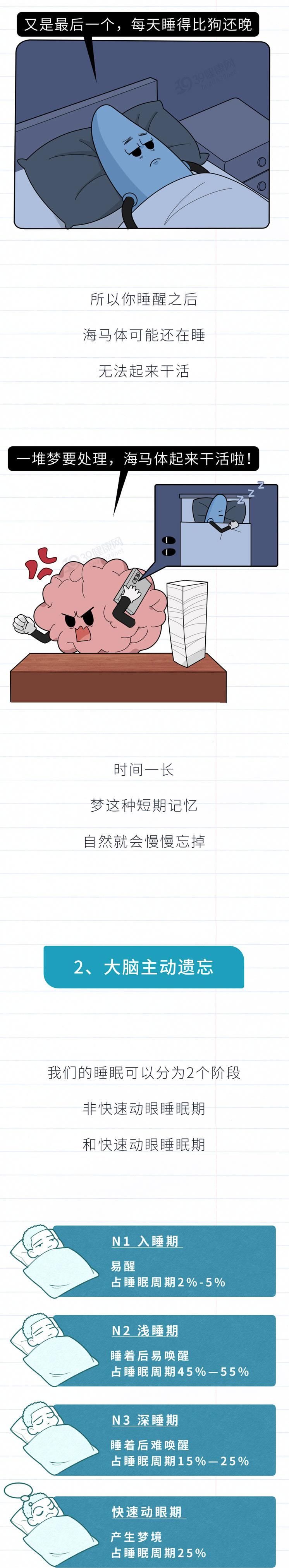 记不住梦是因为睡眠好还是不好(人为啥记不住自己做的梦？睡觉时，大脑经历了什么？研究揭晓真相)