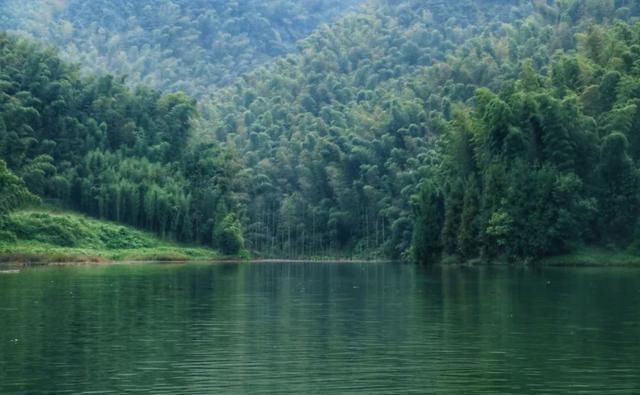  熊猫|中国顶级旅游路线有高铁了！看完熊猫再环洱海，一辆车就能解决