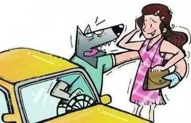  乘客|顺风车司机携春药物色妙龄女乘客，还称不是强奸，判决来了