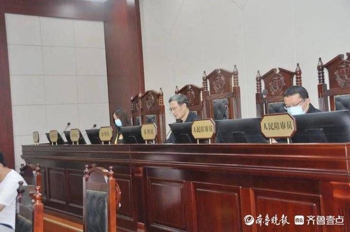  杨某|判刑！山亭区法院公开宣判杨某等恶势力犯罪案件