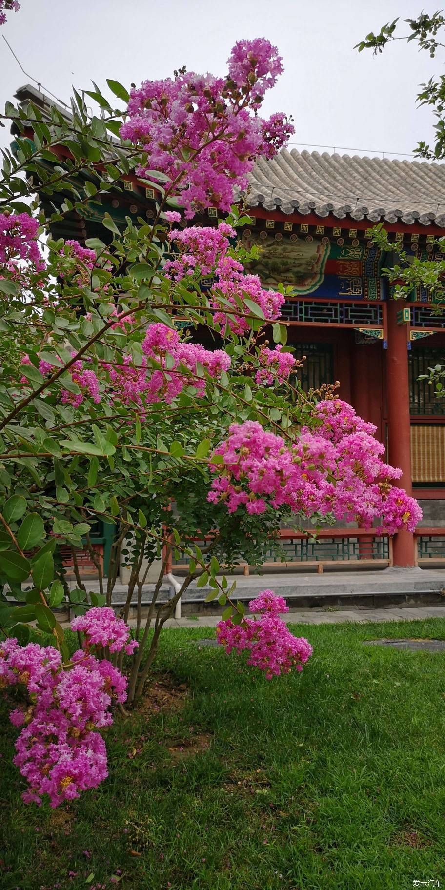  博物馆|游览中国园林博物馆