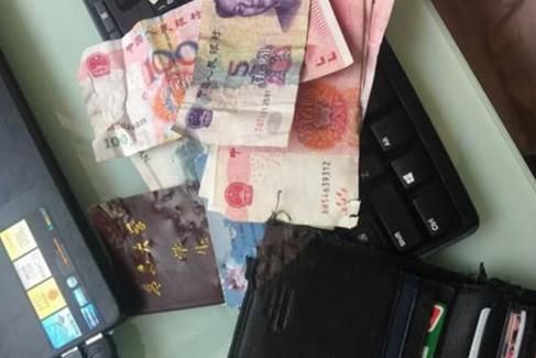  表情|狗子咬坏主人钱包，意识到自己错后，立马表现出一副求饶的表情