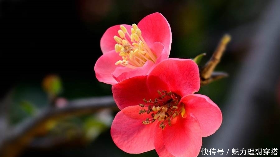 到底|和一个比自己小20岁左右的对象结婚,到底好不好?