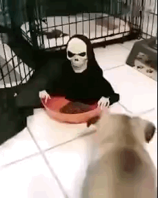  孩子|爆笑GIF：孩子在旁边看着呢？你这么大了怎么还坐呢？