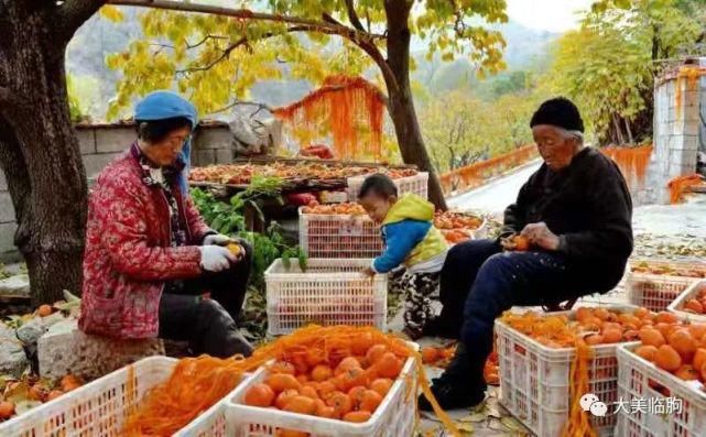 乡村|临朐、乡村、美食、熟悉的画面