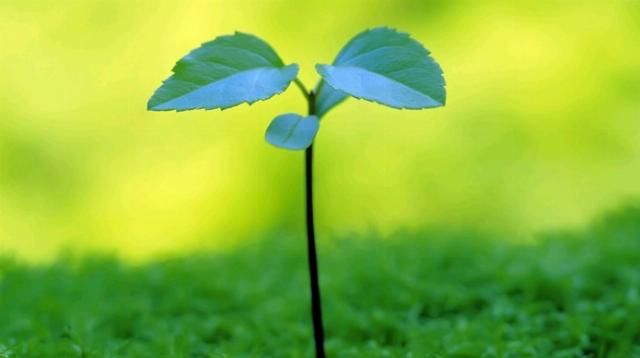  好运|熬到7月末，财运上上签，3大属相好运将至，贵人入运，东山再起