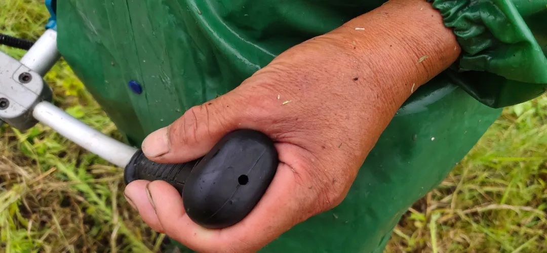  坚守|Vlog“一段大堤，几位老人的坚守”