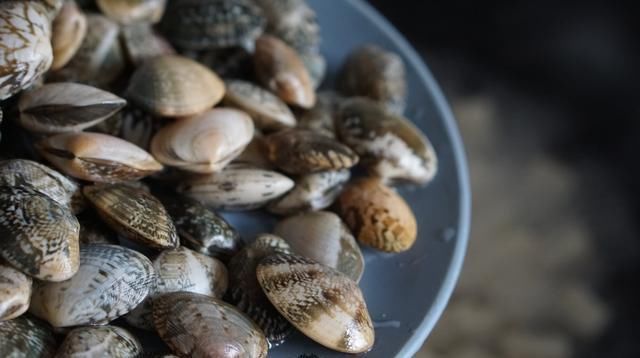  倒入|立秋后这菜2块钱一把，熬汤特鲜美，清热祛燥，这个秋天都精神