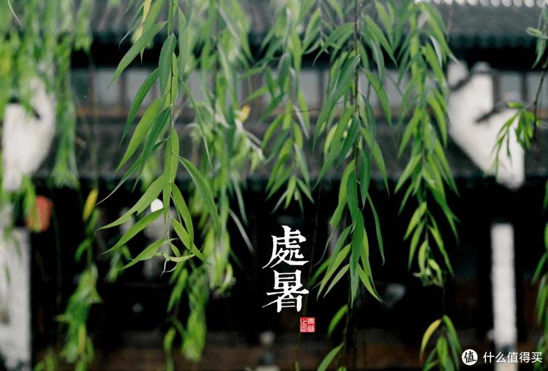 处暑时节如何养生最好(处暑节气如何养生？6个关键点要记牢~)