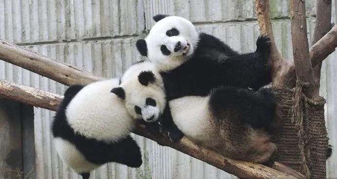 故事|出彩“滚滚” | 你有你的“三十而已”,我们的三十又是另一个故事~