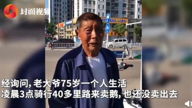  食堂|暖心！7旬老人卖鹅违章交警全部买下：卖给我们食堂吧