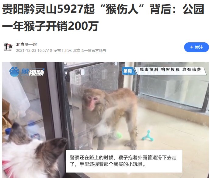 黔灵山公园多人暴力抓捕猕猴？贵州林业局通报