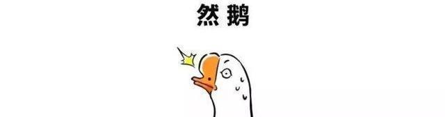 日本|日本的所谓国粹,都是我们老祖宗玩剩下的!