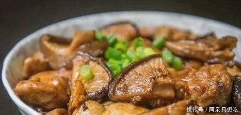 适合|几款家常菜,一年四季都适合吃,不油腻不上火,你不能错过。