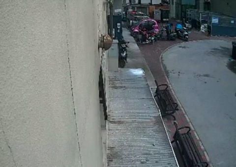 电瓶|壹现场丨新换的电瓶被偷走 监控拍下可疑身影