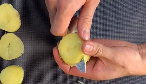 冬季|秋季,这菜正上市,才2毛多钱1斤,多买些一蒸一晒,冬季炒肉最香