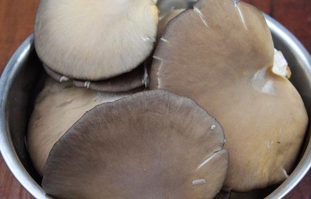 蘑菇|教你做干炸蘑菇，做好这几步，炸出来的蘑菇才酥脆可口！