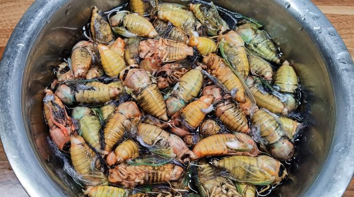 正当|立秋前,这美味抓紧吃,高营养高蛋白,现在正当季,错过再等一年