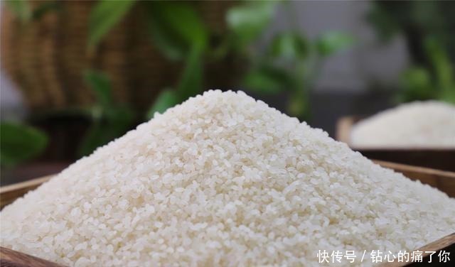 实用|学会大米的正确储存方法,放一年都不生虫不发霉,简单又实用